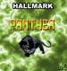 HALLMAR - rubbers PANTHER